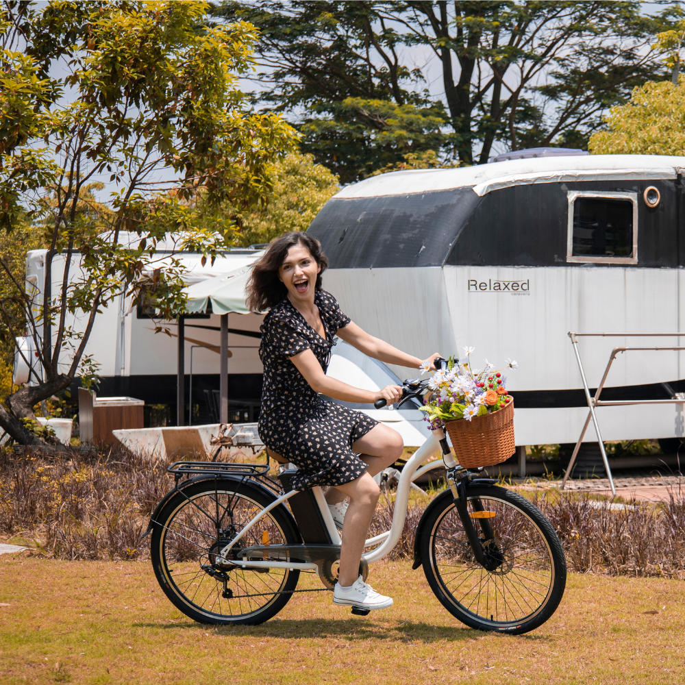 DYU elektrický bicykel C6